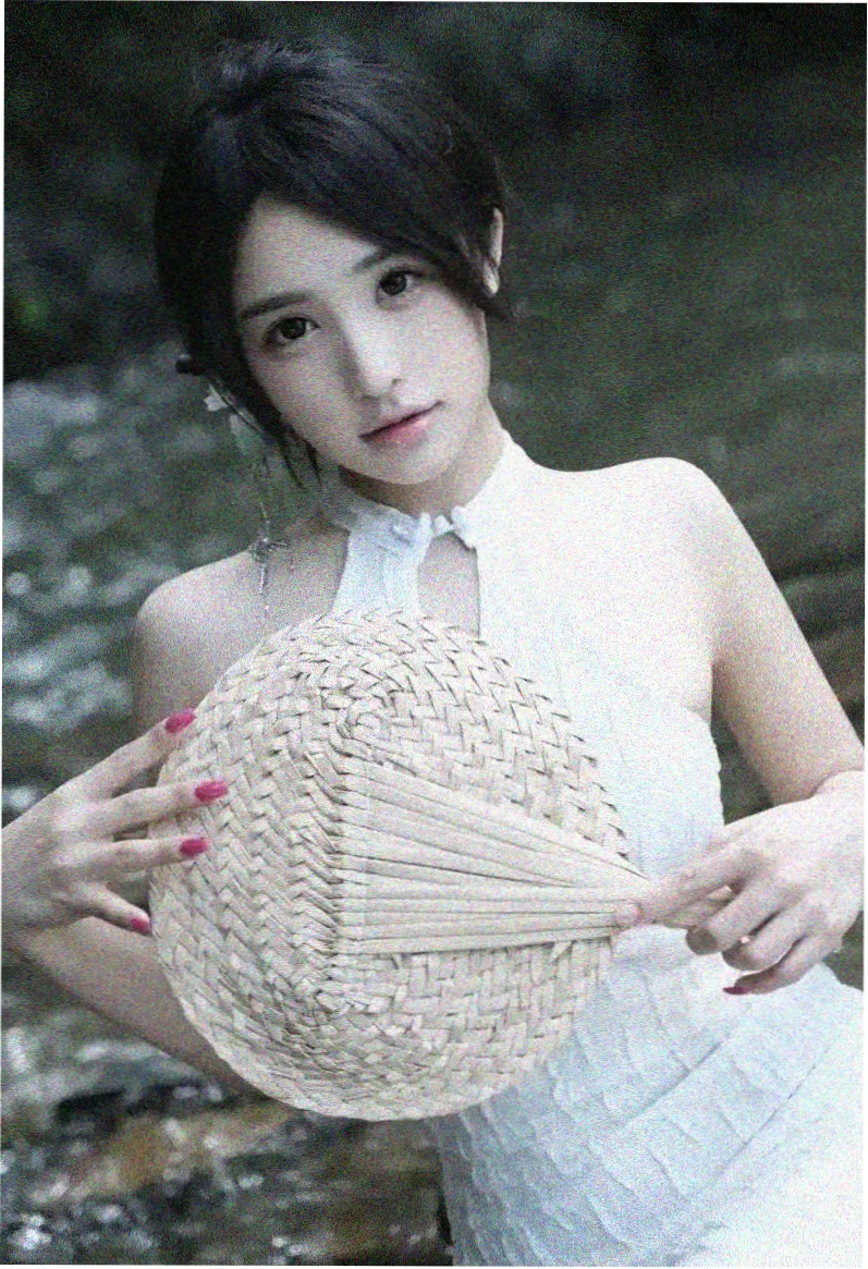 雍正王朝古装剧在线观看海报